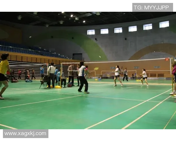 深圳羽毛球队挑战赛点评：比赛经验与表现的深度分析与反思